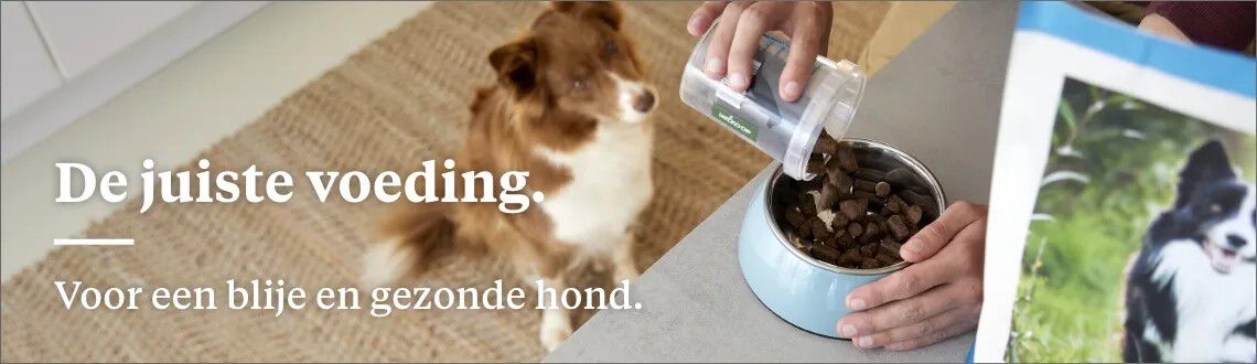 Wat is het beste hondenvoer? Wat is het beste hondenvoer?